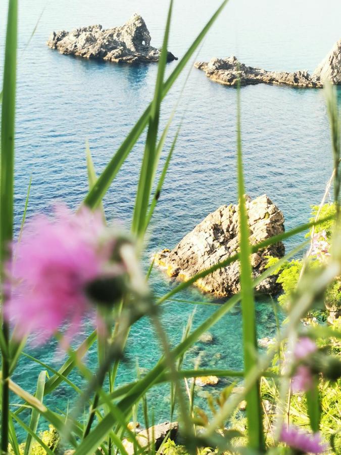 Appartamento La Terrazza di Rovaglioso Palmi Esterno foto