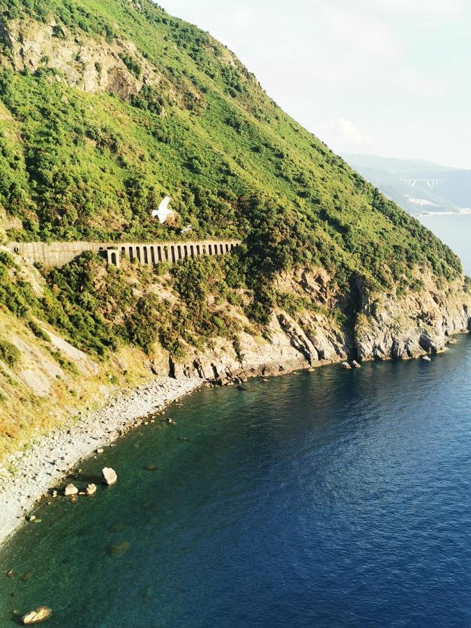 Appartamento La Terrazza di Rovaglioso Palmi Esterno foto