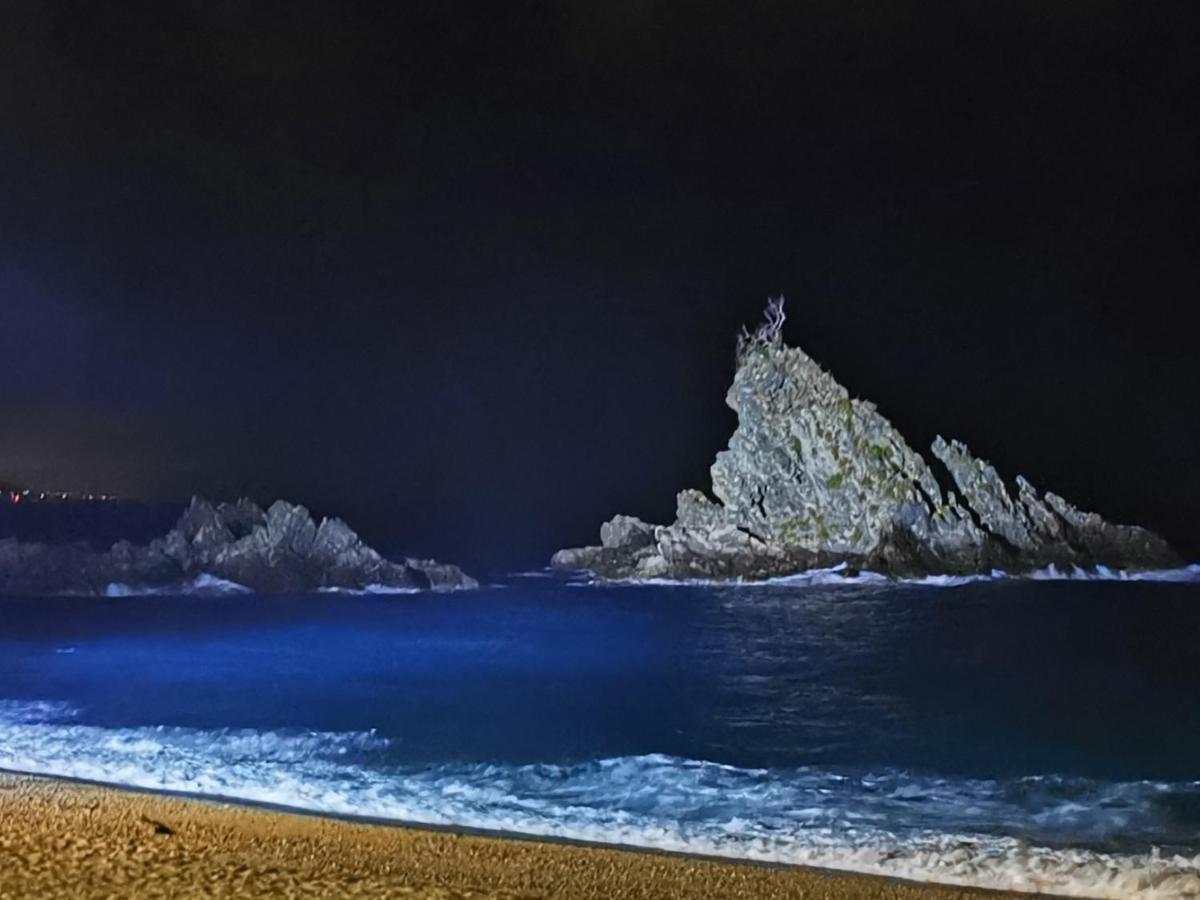 Appartamento La Terrazza di Rovaglioso Palmi Esterno foto