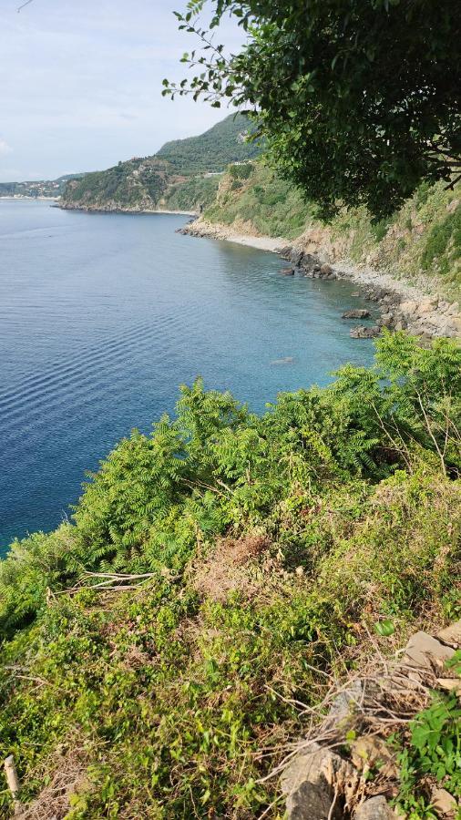 Appartamento La Terrazza di Rovaglioso Palmi Esterno foto